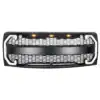 raptor-style-mesh-grille-wdrl-turn-signal-lights-for-2009-2014-ford-f150-matte-black-in-stock-on-dec-20-grille-am-off-road-793793 RAPTOR STYLE MESH GRILLE W/DRL & TURN SIGNAL LIGHTS FOR 2009-2014 FORD F150